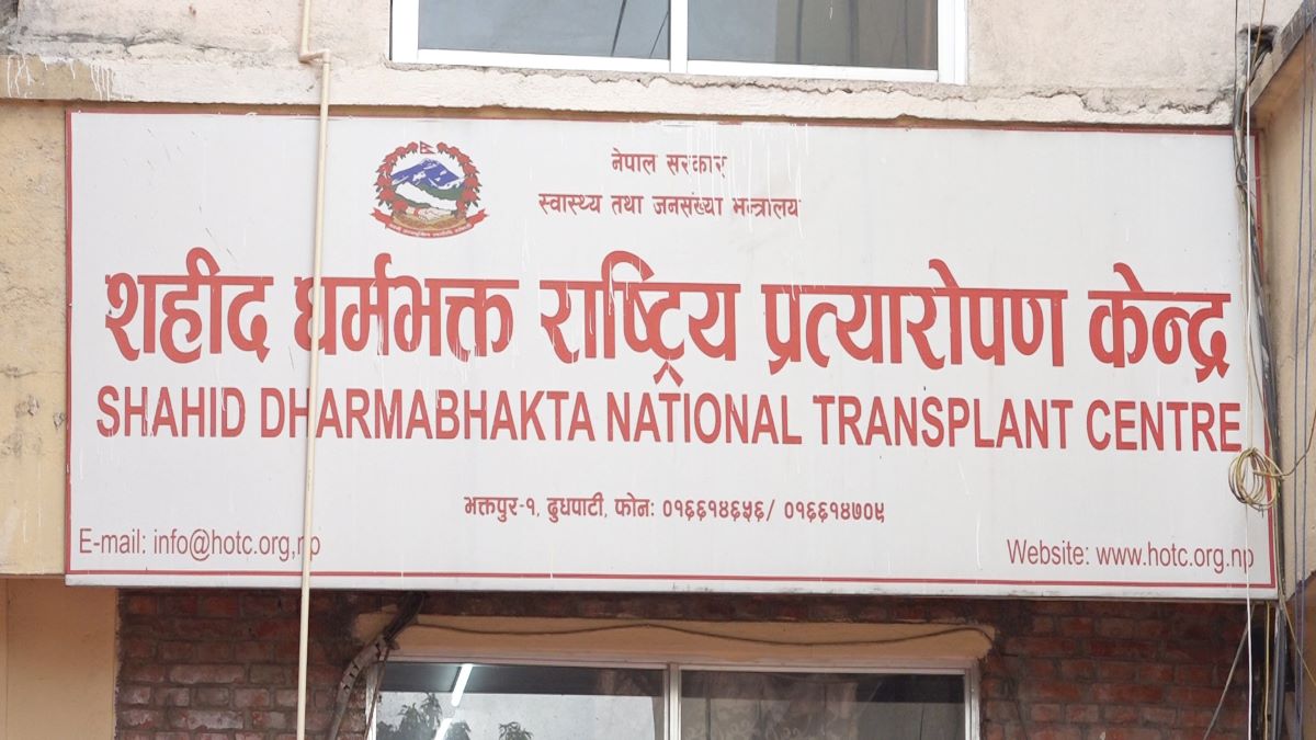राष्ट्रिय प्रत्यारोपण केन्द्रमा कार्यकारी निर्देशकको खोजी, स्थायीलाई प्राथमिकता दिनुपर्ने माग